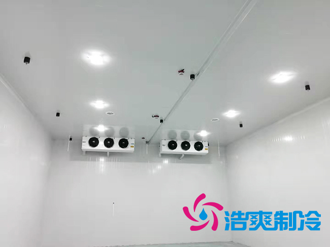 100萬斤水果好色先生看片APP安裝價格及建造麵積_好色先生TV网站製冷